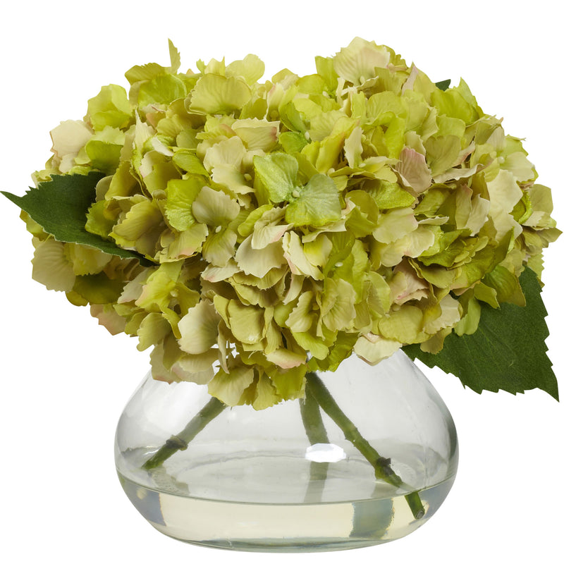 Blooming Hydrangea with Vase