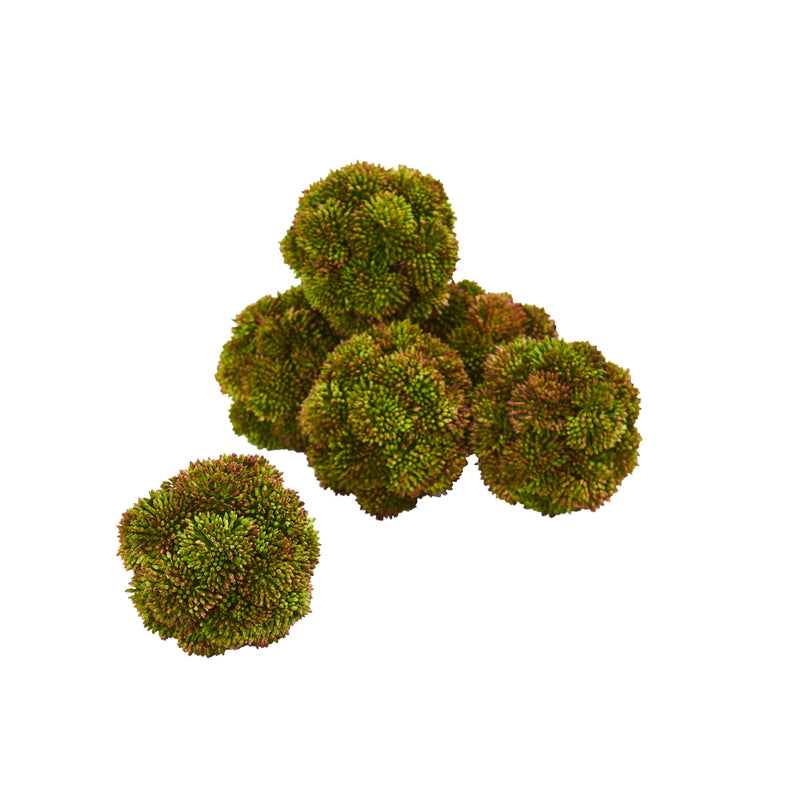 4" Sedum Artificial Succulent Artificial Spheres (Set of 6)