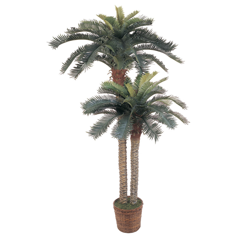 6' and 4' Sago Palm Double Potted Silk Tree