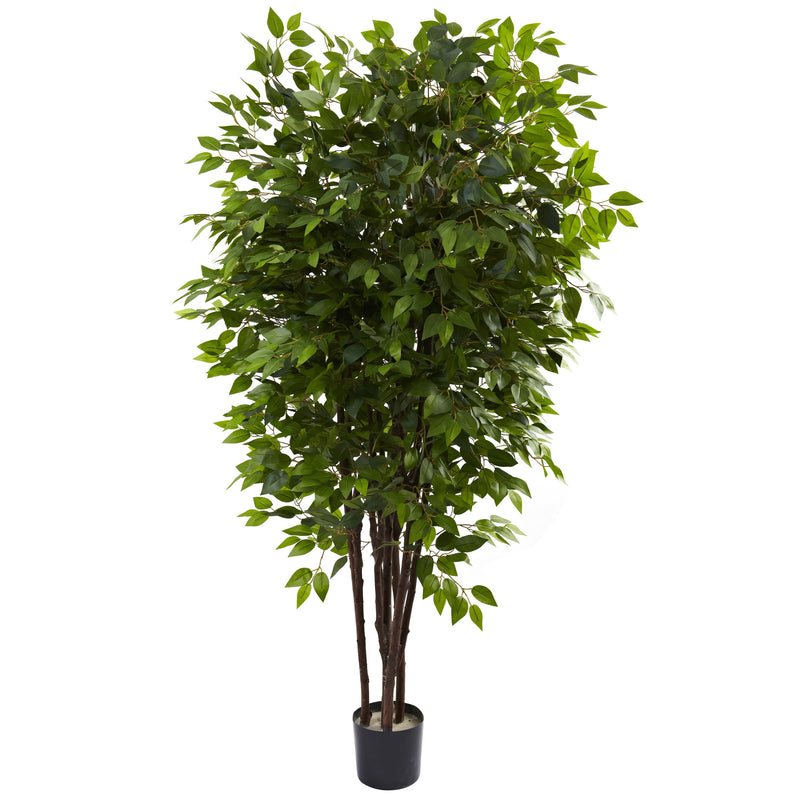 6.5" Deluxe Ficus Tree