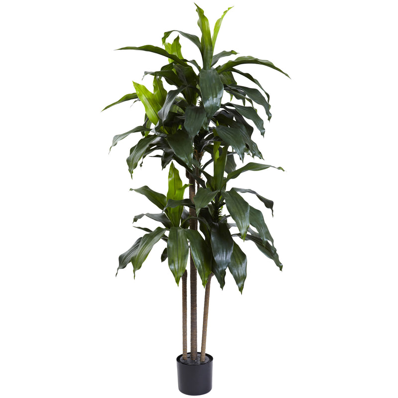 5' Dracaena Plant UV Resistant (Indoor/Outdoor)