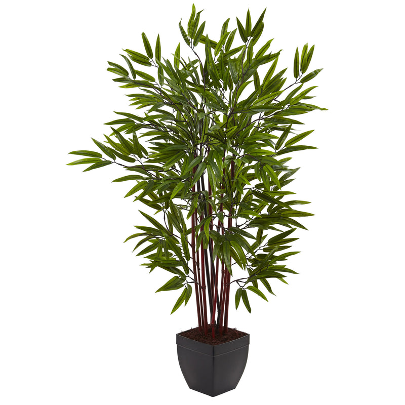4" Bamboo Silk Tree with Planter