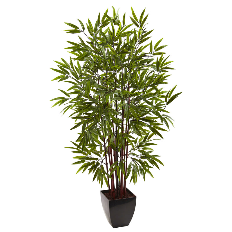5" Bamboo Silk Tree with Planter