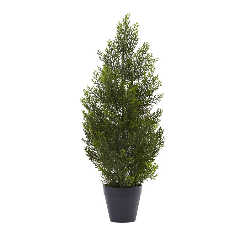 2" Mini Cedar Pine Tree