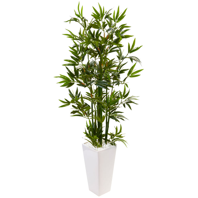 4.5" Bamboo Tree in White Tower Planter