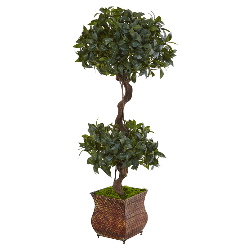 4.5" Sweet Bay Double Topiary Tree in Metal Planter
