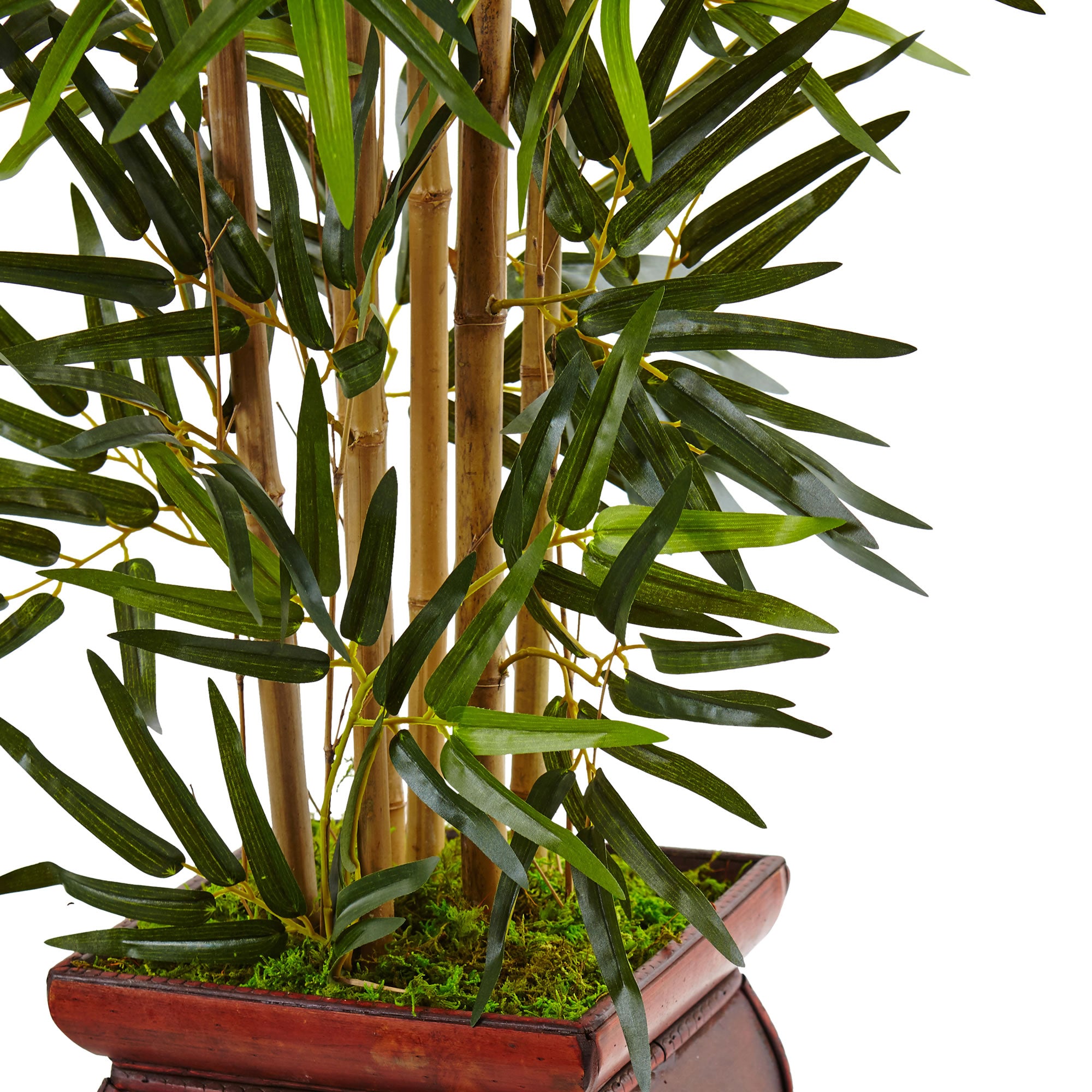 3.5" Bamboo Tree in Wooden Decorative Planter
