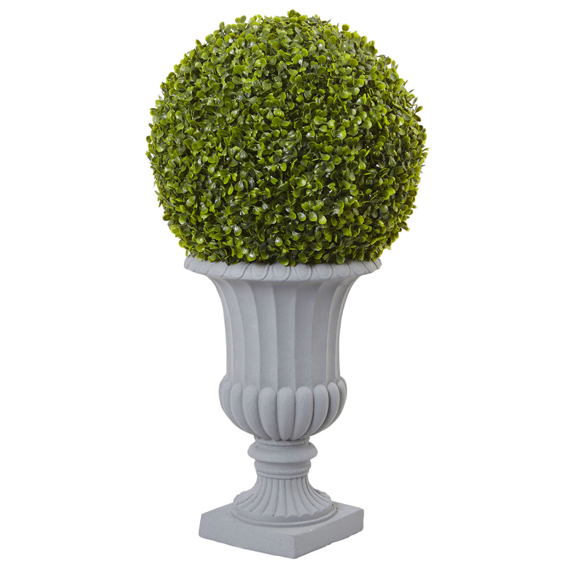 2.5" Boxwood Topiary with Urn 