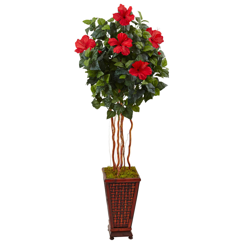 5" Hibiscus Tree in Decorated Wooden Planter