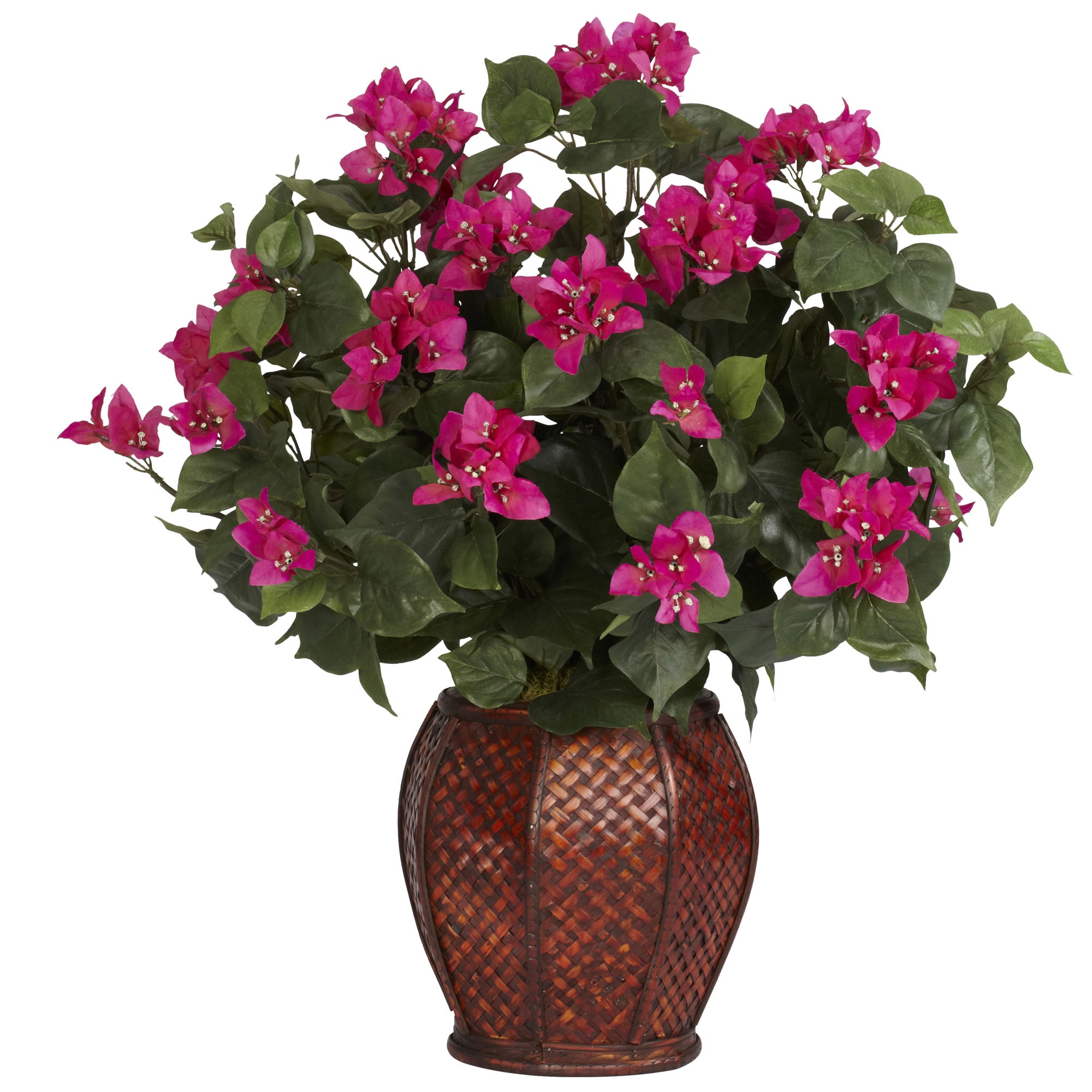 Bougainvillea with Vase Silk Plant
