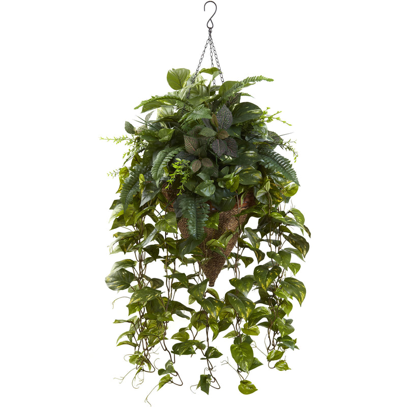 Vining Mixed Greens with Cone Hanging Basket