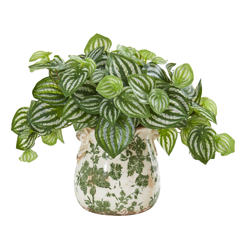 Watermelon Peperomia Artificial Plant in Vase (Real Touch)