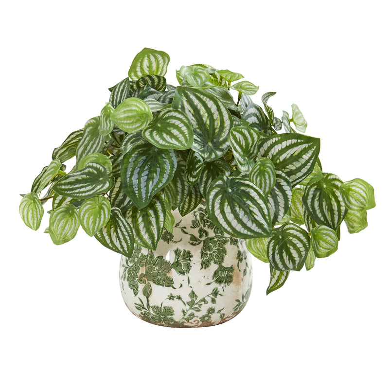 Watermelon Peperomia Artificial Plant in Vase (Real Touch)