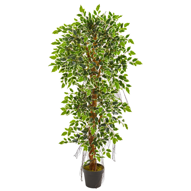 5" Elegant Ficus Artificial Tree