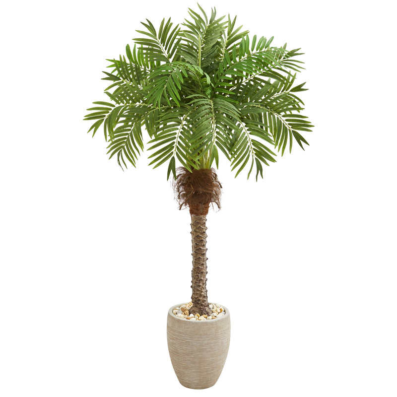 63" Robellini Palm Artificial Tree in Sandstone Planter