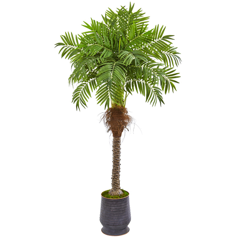 71" Robellini Palm Artificial Tree in Decorative Planter
