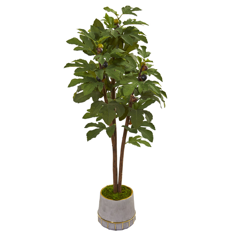 47" Fig Artificial Tree in Stoneware Vase with Gold Trimming