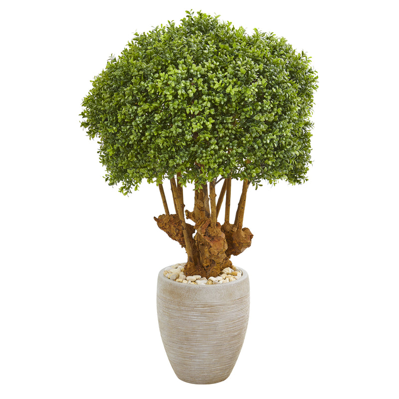 41" Boxwood Artificial Topiary Tree in Sandstone Planter (Indoor/Outdoor)