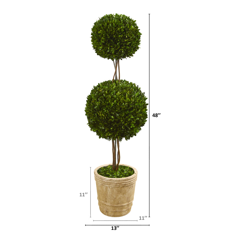 4' Preserved Boxwood Double Ball Topiary in Planter
